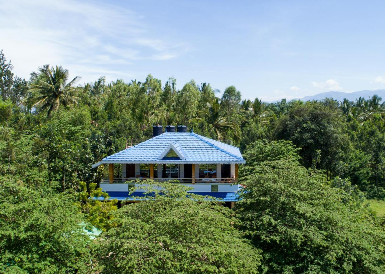 The Midway Jungle Resort Masinagudi Buitenkant foto