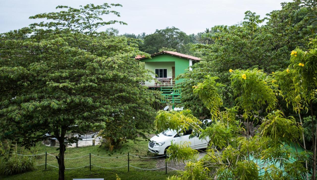 The Midway Jungle Resort Masinagudi Buitenkant foto
