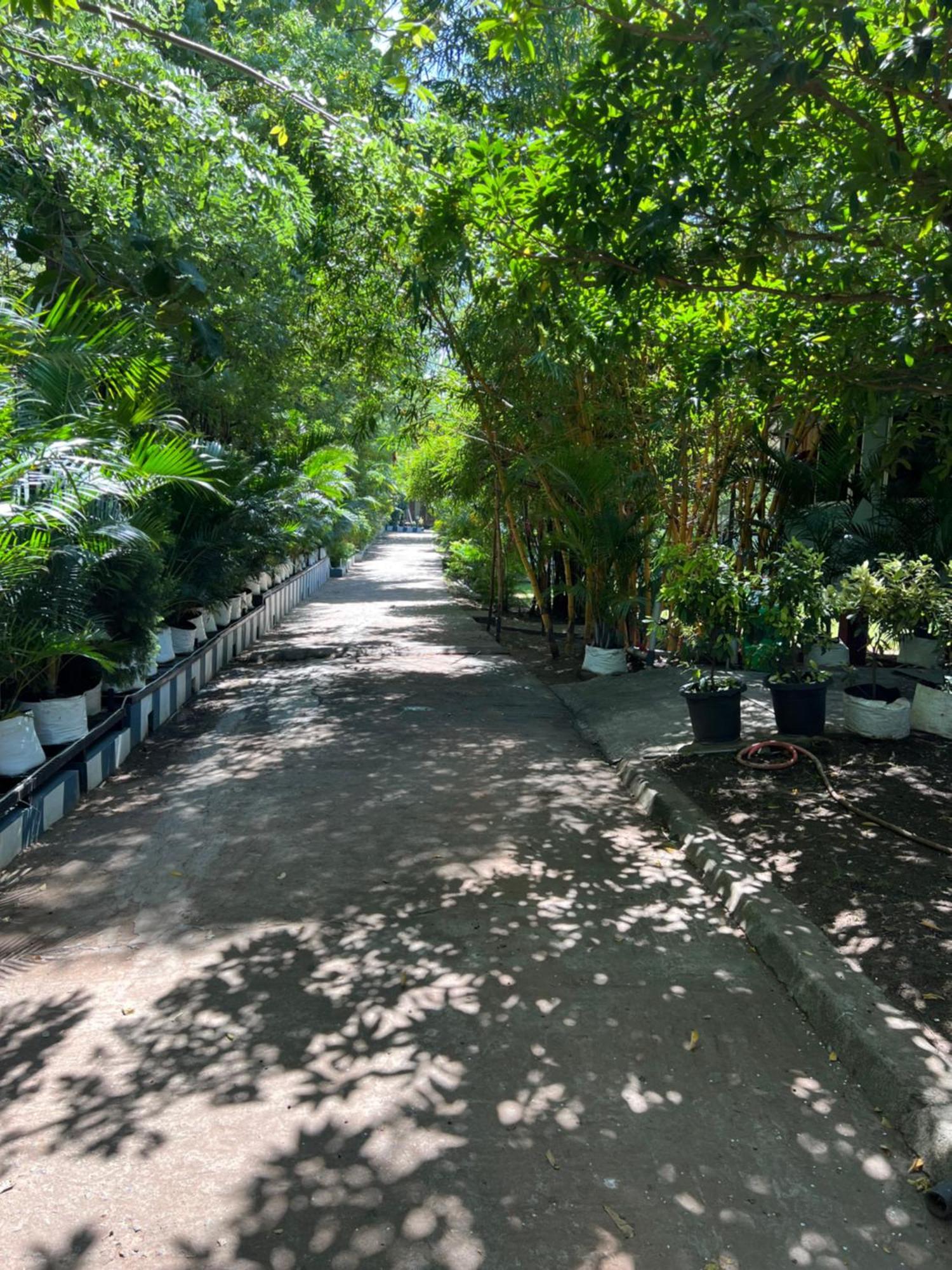 The Midway Jungle Resort Masinagudi Buitenkant foto